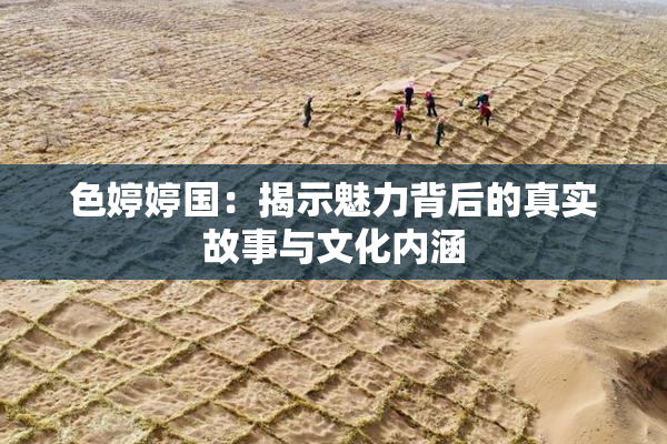 色婷婷国：揭示魅力背后的真实故事与文化内涵