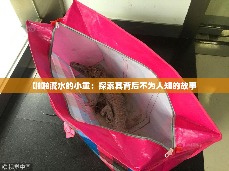 啪啪流水的小重：探索其背后不为人知的故事