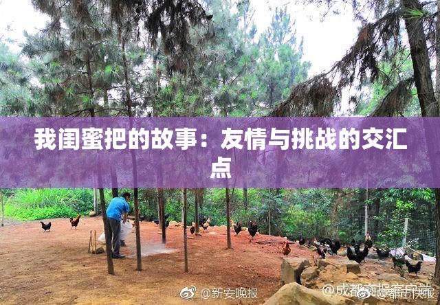 我闺蜜把的故事：友情与挑战的交汇点