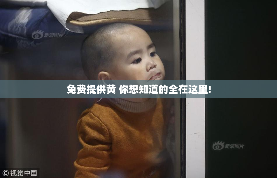 免费提供黄 你想知道的全在这里!