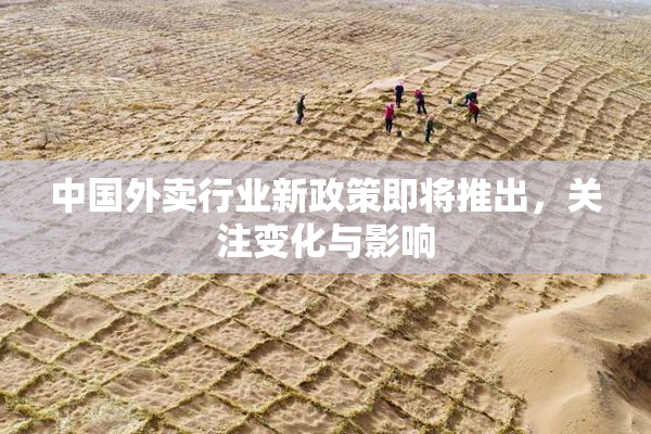 中国外卖行业新政策即将推出，关注变化与影响