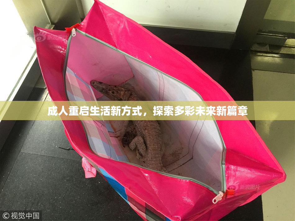 成人重启生活新方式，探索多彩未来新篇章