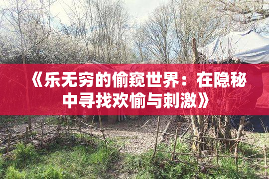 《乐无穷的偷窥世界：在隐秘中寻找欢愉与刺激》