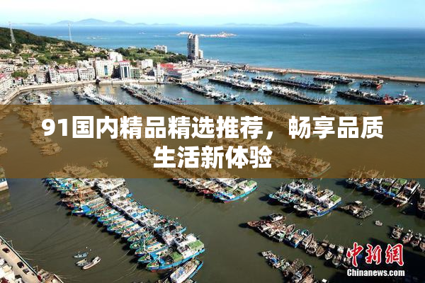 91国内精品精选推荐，畅享品质生活新体验