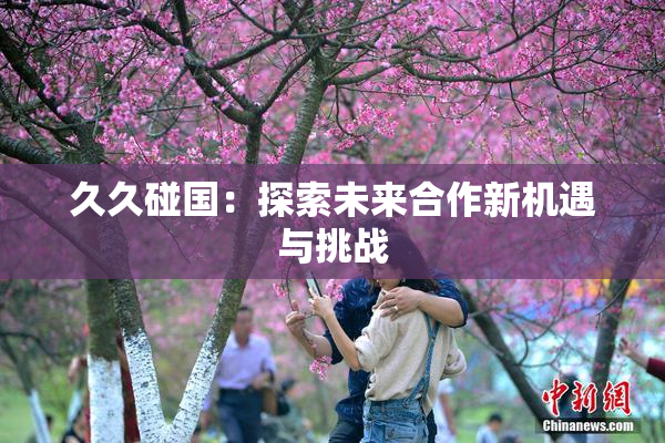 久久碰国：探索未来合作新机遇与挑战
