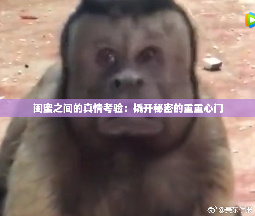 闺蜜之间的真情考验：撬开秘密的重重心门