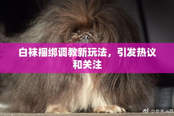 白袜捆绑调教新玩法，引发热议和关注