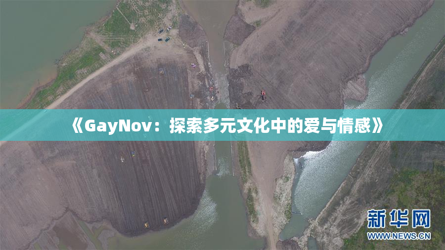 《GayNov：探索多元文化中的爱与情感》