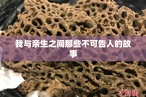 我与亲生之间那些不可告人的故事