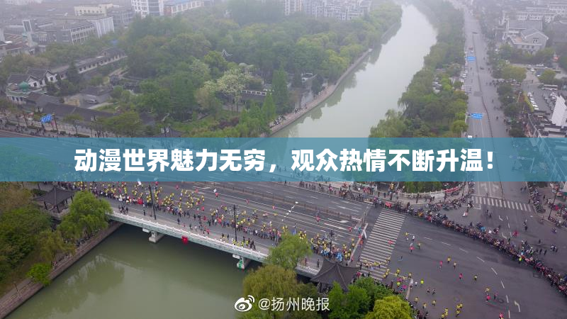 动漫世界魅力无穷，观众热情不断升温！