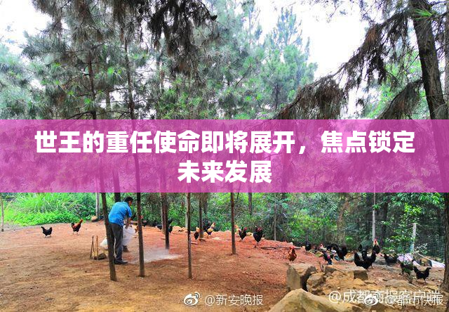 世王的重任使命即将展开，焦点锁定未来发展