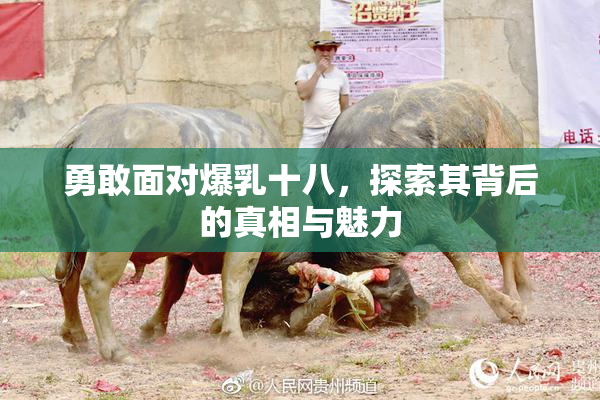 勇敢面对爆乳十八，探索其背后的真相与魅力