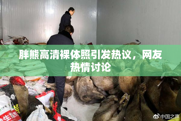 胖熊高清裸体照引发热议，网友热情讨论