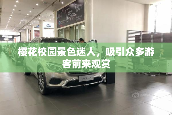 樱花校园景色迷人，吸引众多游客前来观赏