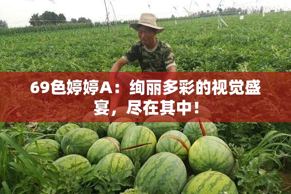 69色婷婷A：绚丽多彩的视觉盛宴，尽在其中！