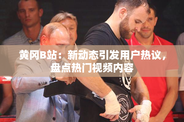 黄冈B站：新动态引发用户热议，盘点热门视频内容
