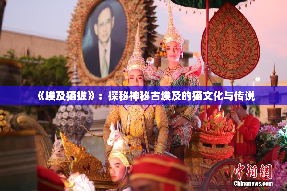 《埃及猫拔》：探秘神秘古埃及的猫文化与传说