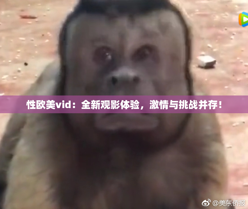 性欧美vid：全新观影体验，激情与挑战并存！