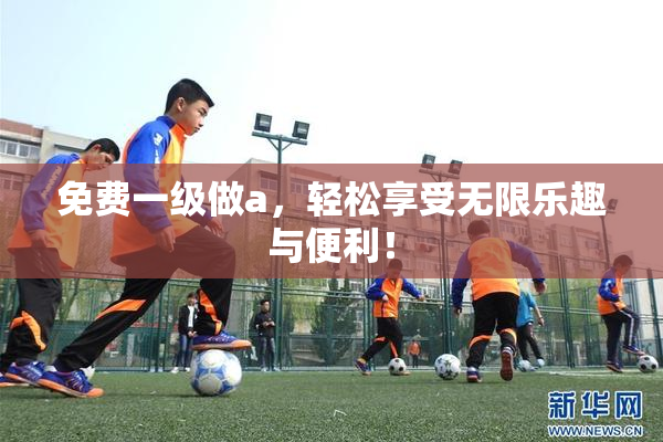 免费一级做a，轻松享受无限乐趣与便利！