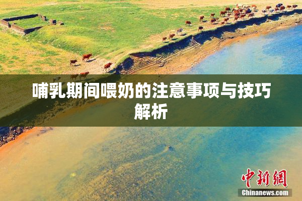 哺乳期间喂奶的注意事项与技巧解析