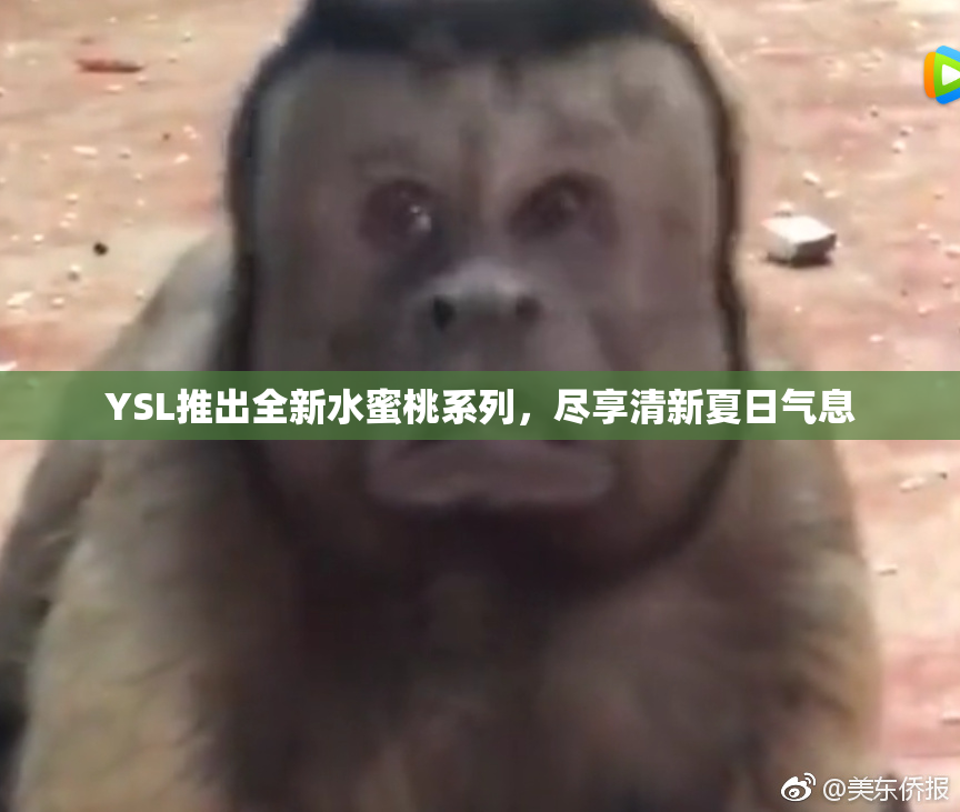 YSL推出全新水蜜桃系列，尽享清新夏日气息