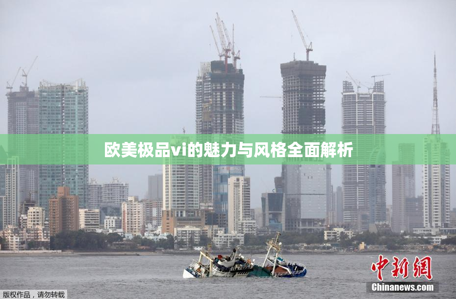 欧美极品vi的魅力与风格全面解析