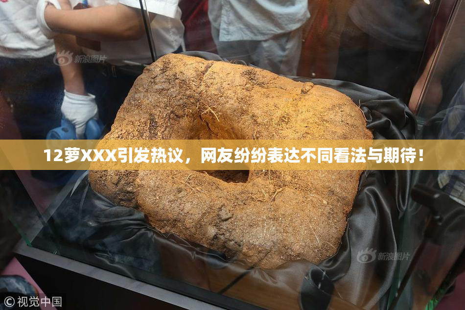 12萝XXX引发热议，网友纷纷表达不同看法与期待！