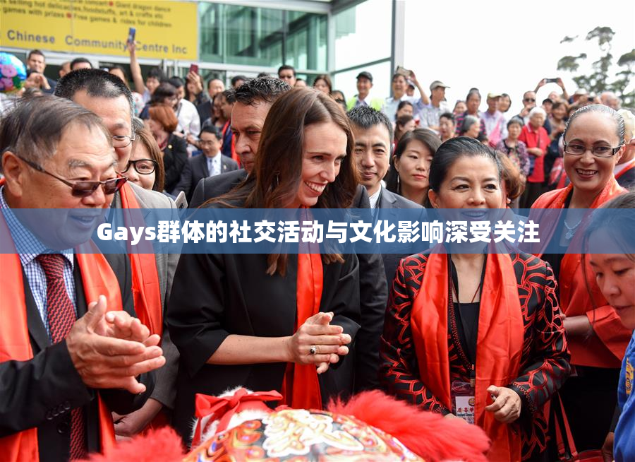 Gays群体的社交活动与文化影响深受关注
