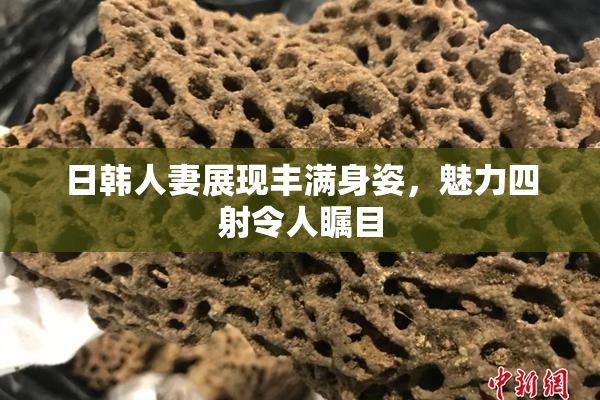 日韩人妻展现丰满身姿，魅力四射令人瞩目