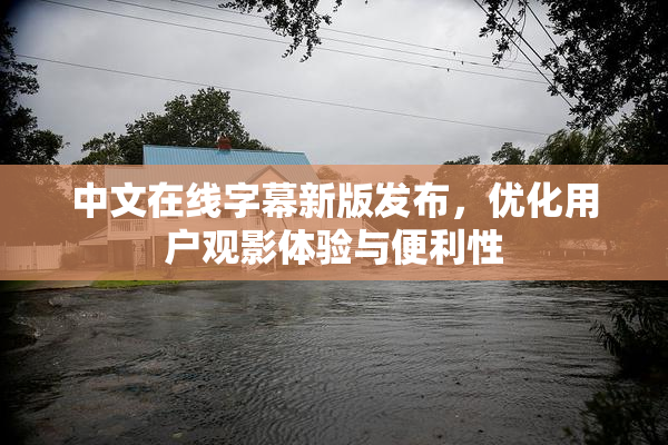 中文在线字幕新版发布，优化用户观影体验与便利性