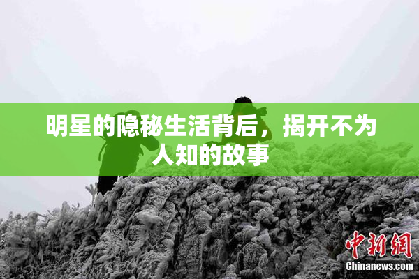 明星的隐秘生活背后，揭开不为人知的故事