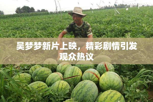 吴梦梦新片上映，精彩剧情引发观众热议