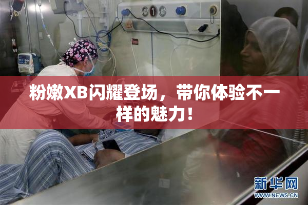 粉嫩XB闪耀登场，带你体验不一样的魅力！