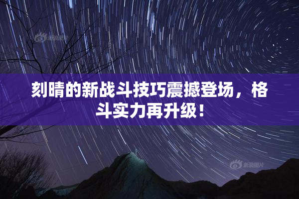 刻晴的新战斗技巧震撼登场，格斗实力再升级！