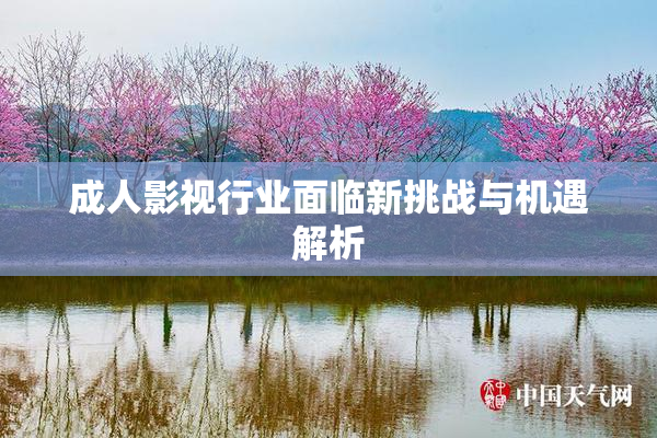 成人影视行业面临新挑战与机遇解析