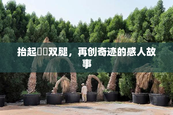 抬起妺妺双腿，再创奇迹的感人故事