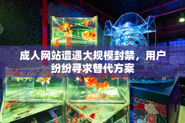 成人网站遭遇大规模封禁，用户纷纷寻求替代方案