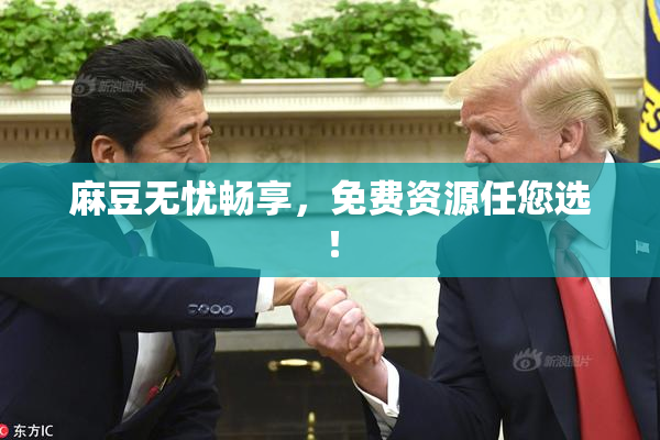 麻豆无忧畅享，免费资源任您选！