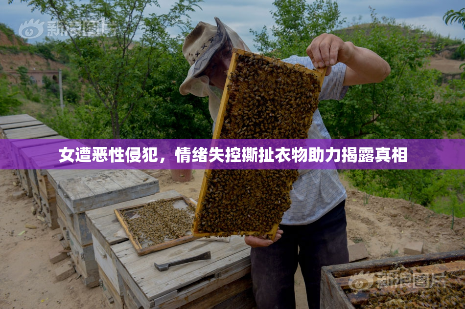 女遭恶性侵犯，情绪失控撕扯衣物助力揭露真相