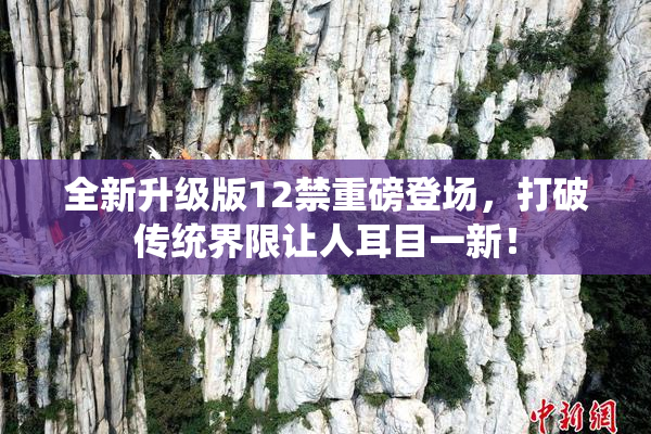 全新升级版12禁重磅登场，打破传统界限让人耳目一新！