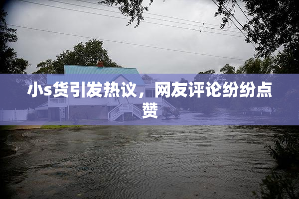 小s货引发热议，网友评论纷纷点赞