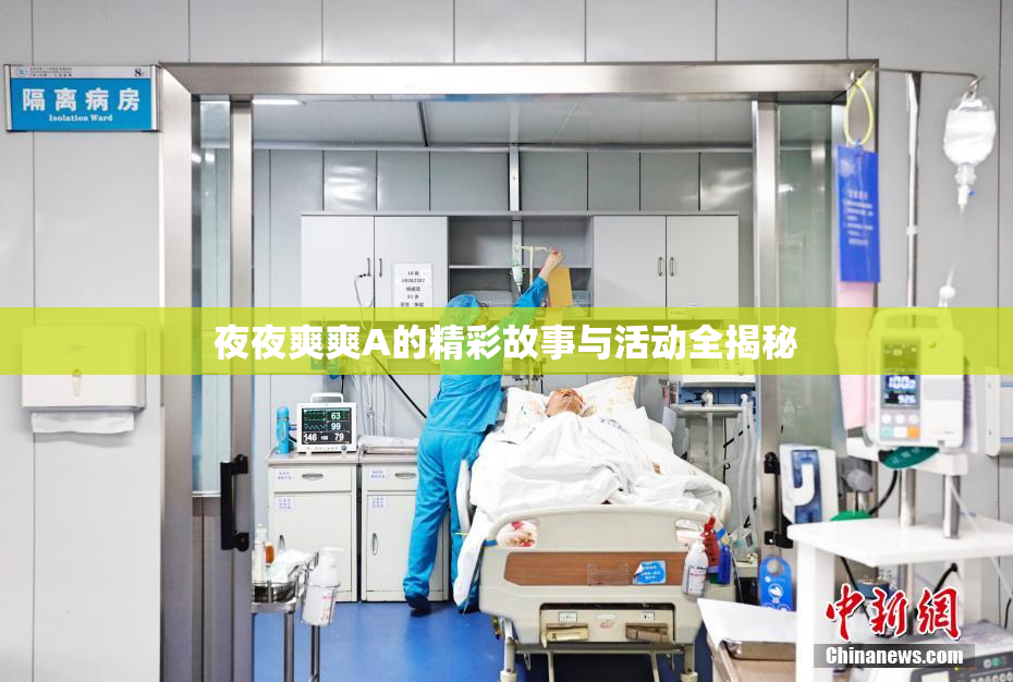 夜夜爽爽A的精彩故事与活动全揭秘