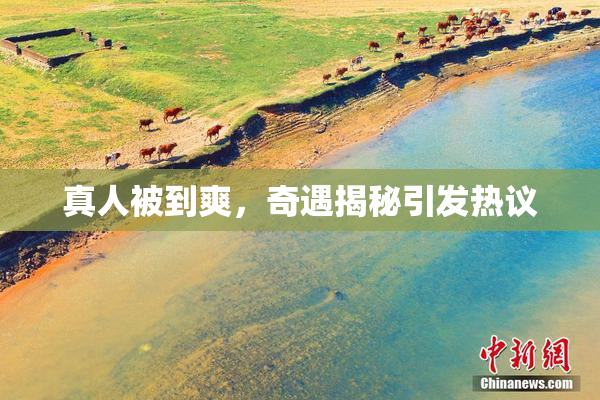 真人被到爽，奇遇揭秘引发热议