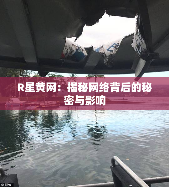 R星黄网：揭秘网络背后的秘密与影响