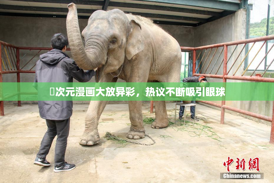 囧次元漫画大放异彩，热议不断吸引眼球
