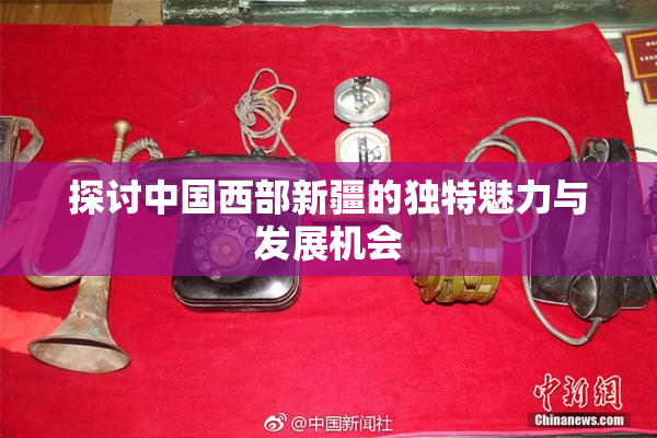探讨中国西部新疆的独特魅力与发展机会