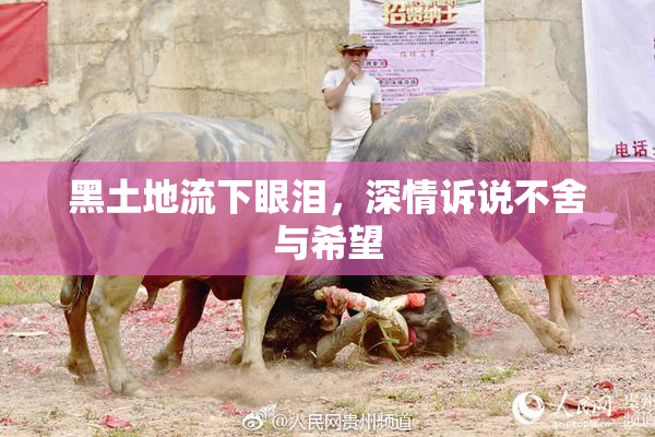 黑土地流下眼泪，深情诉说不舍与希望