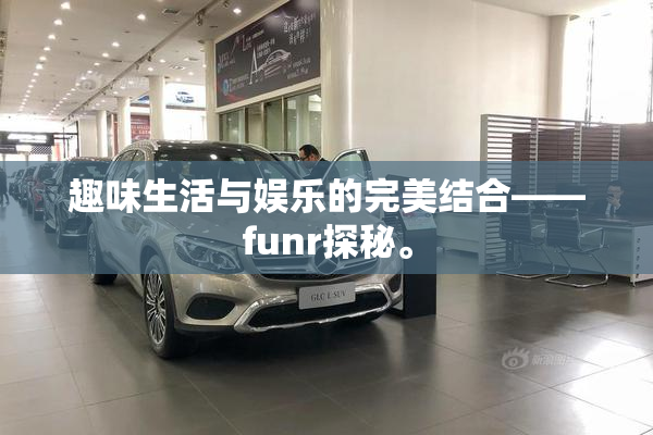 趣味生活与娱乐的完美结合——funr探秘。