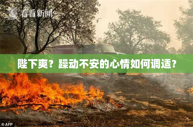 陛下爽？躁动不安的心情如何调适？