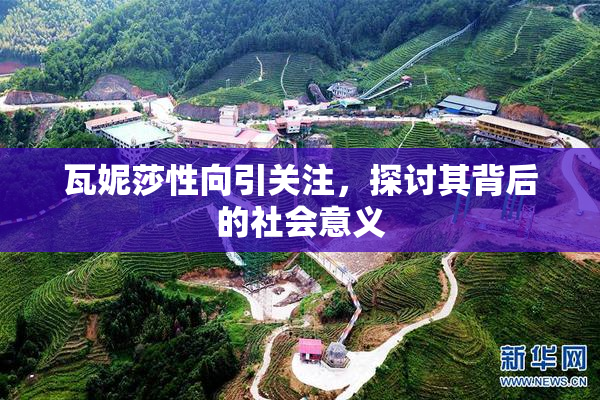 瓦妮莎性向引关注，探讨其背后的社会意义